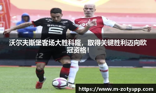中欧体育app
